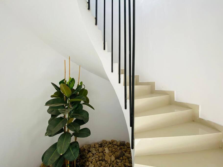 Contempory Exclusive Sitges Area Vila Olivella Exterior foto